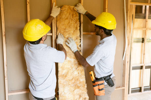 Types of Insulation We Offer in Gainesville, VA